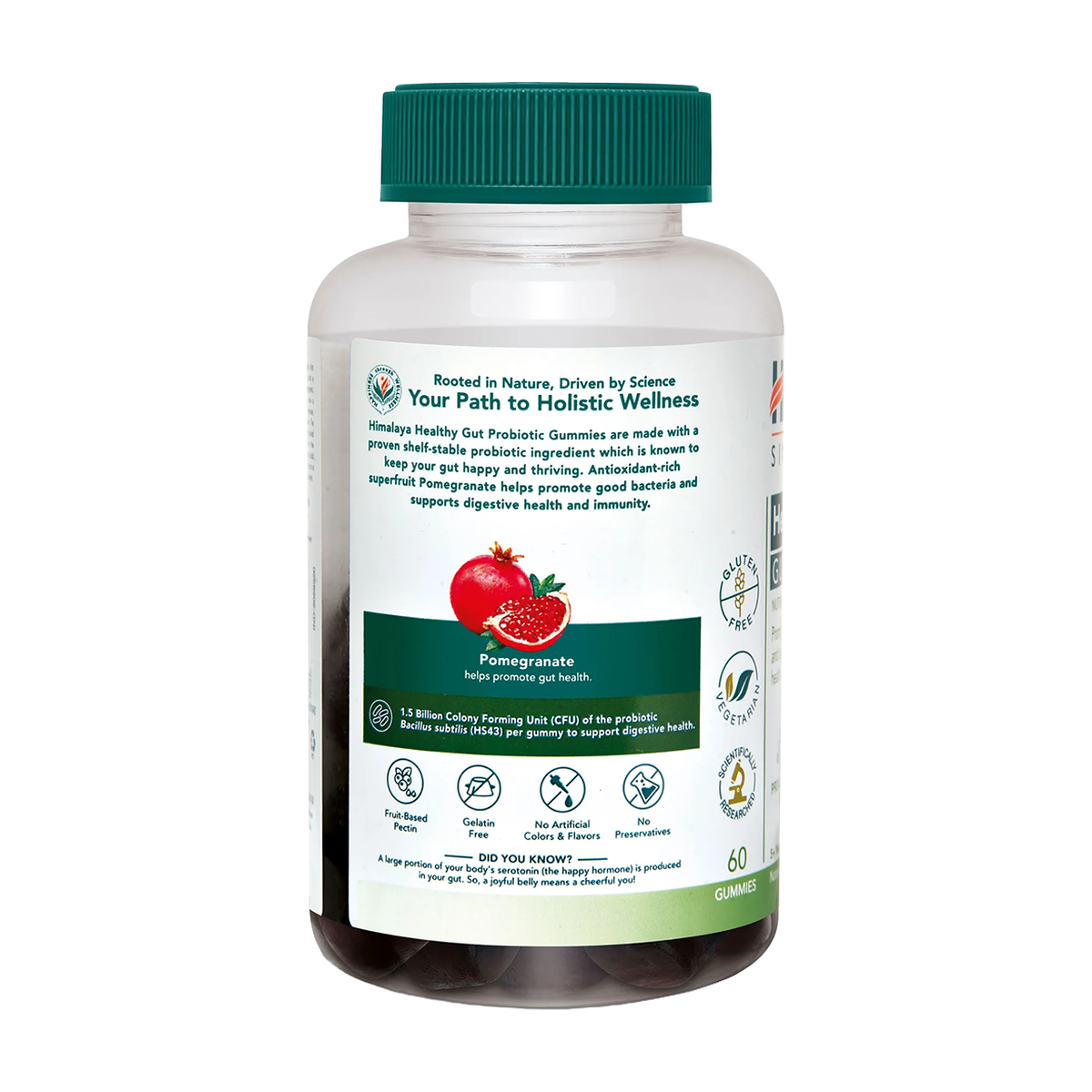 Himalaya Healthy Gut - Product view 3