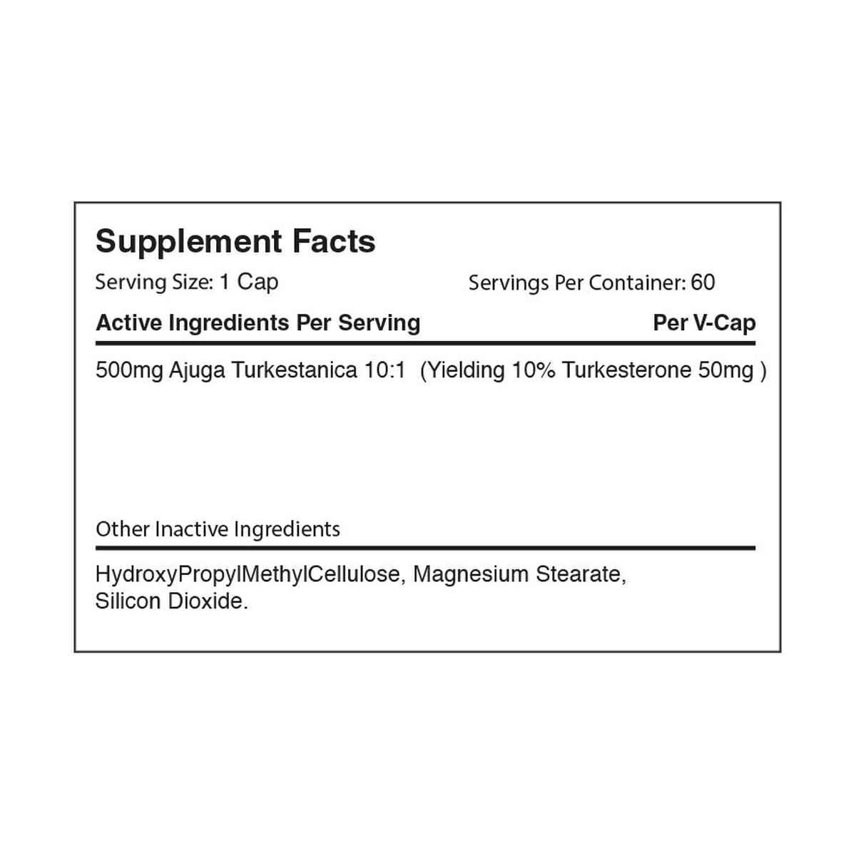 Warrior T-Turkesterone - Produktansicht 2